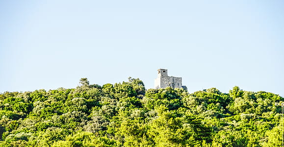 overlooking view of building surrounded by trees thumbnail