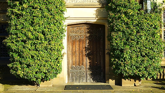 brown side-by-side door beside garden thumbnail