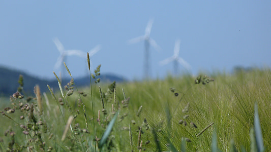 green grass growing near windmill at daytime thumbnail