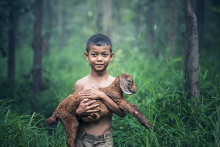 boy in gray shorts carrying a brown goat kid thumbnail