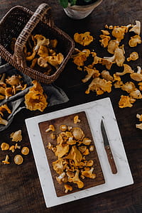 Picking mushrooms chantarelle in the woods thumbnail