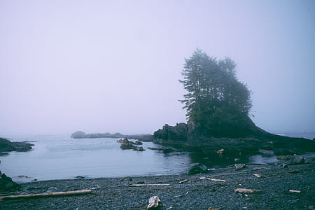 body of water by land thumbnail