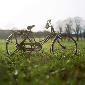 selective focus photography of black bicycle near tall trees during daytime thumbnail