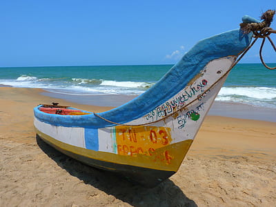 white, blue, and brown boat thumbnail