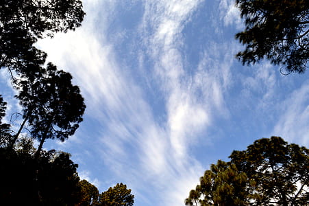 Scenic View of the Sky thumbnail
