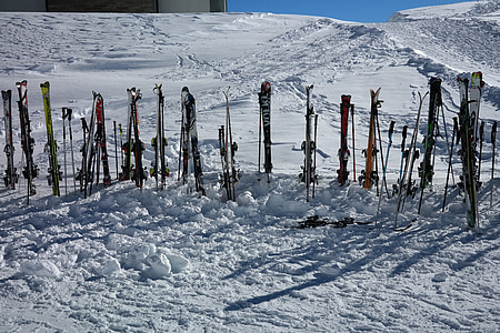 snow ski in snow thumbnail