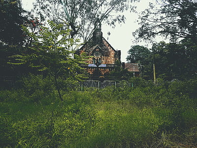 landscape, garden, trees, countryside thumbnail