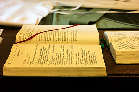 white book thumbnail