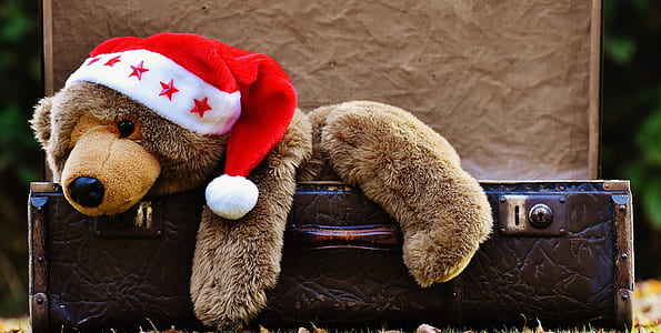 bear plush toy on brown leather suitcase thumbnail