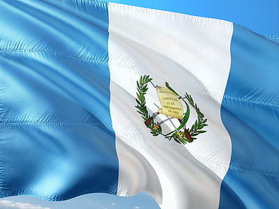white and blue vertical stripe laurel-printed flag thumbnail