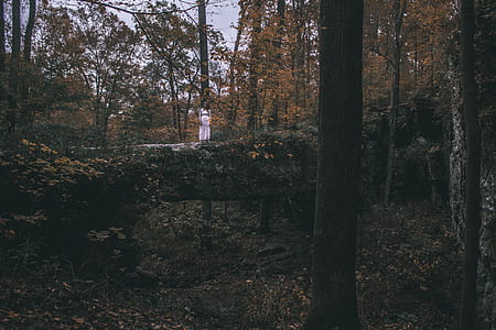 woman standing alone on fallen tree in forest thumbnail