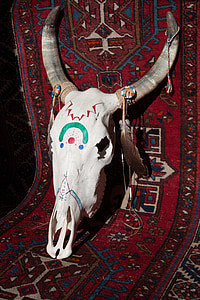 animal skull on area rug thumbnail