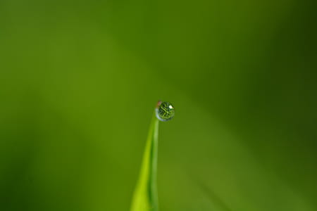 blur, drop of water, macro, drop thumbnail