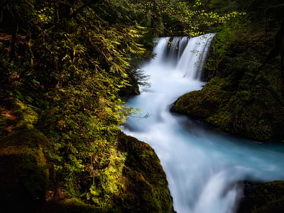 waterfall surrounded by trees thumbnail
