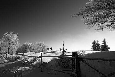 grayscale photo of two persons walking on snow covered ground thumbnail