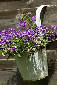 purple petaled flowers on bucket hang on wall thumbnail