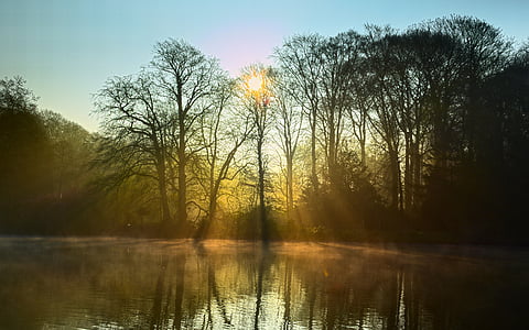 photo of sun rays on trees and body of water thumbnail