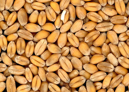pile of peanuts thumbnail