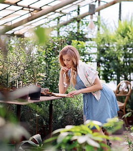 woman reading book thumbnail