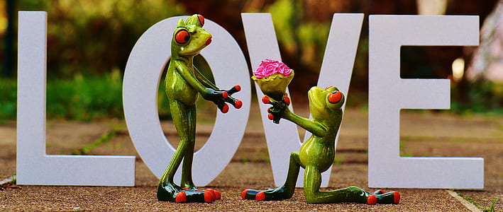 green frogs in front of Love free-standing letters decoration thumbnail