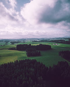 high angle view of trees under cumulus clouds thumbnail