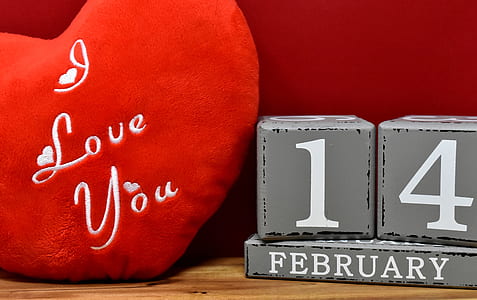 heart-shaped red I love you embroidered pillow beside 14 february free-standing letter thumbnail
