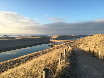 brown wooden dock over the river near sea during daytime thumbnail