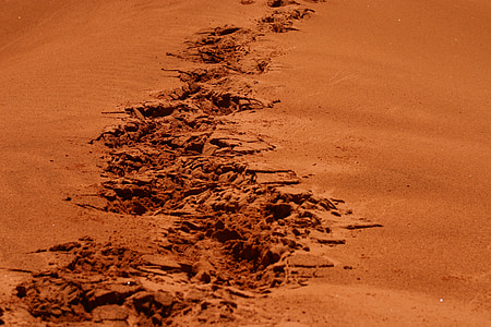 brown sand during daytime thumbnail