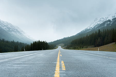 concrete road between mountains with trees thumbnail
