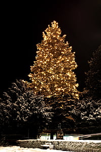 pre-lit tree thumbnail