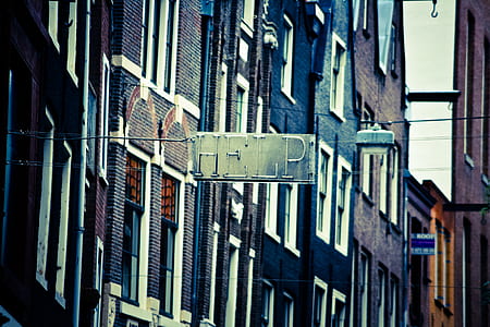 help signage hanging on street during daytime thumbnail
