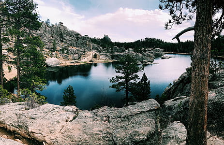 Lake With Green Leafed Trees thumbnail