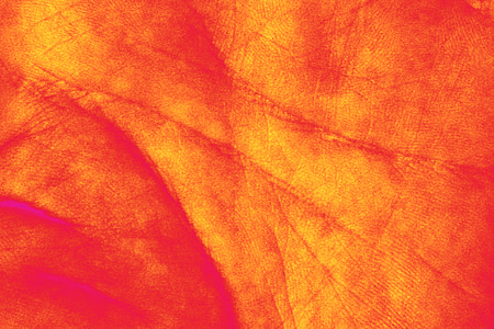 person's palm closeup edited photo thumbnail