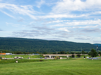 green grass field thumbnail