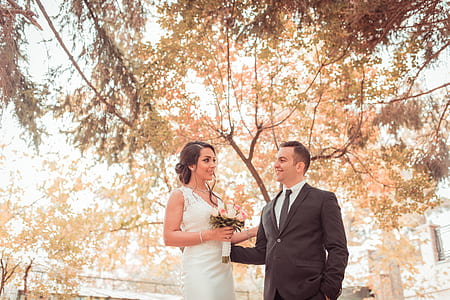 bride and groom under tree thumbnail
