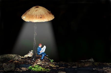 brown mushroom thumbnail