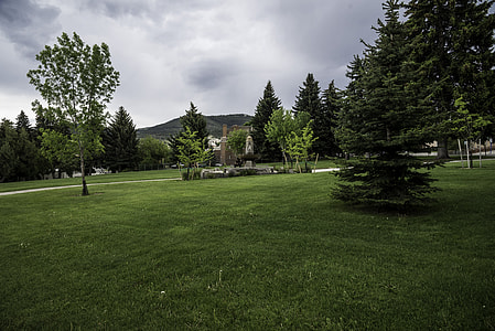 Grass lawn and trees in Helena Park thumbnail