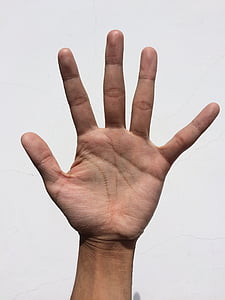 left human palm thumbnail