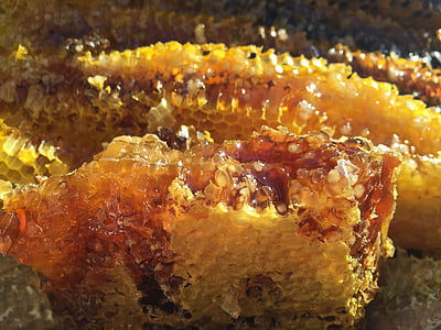 honeycombs thumbnail