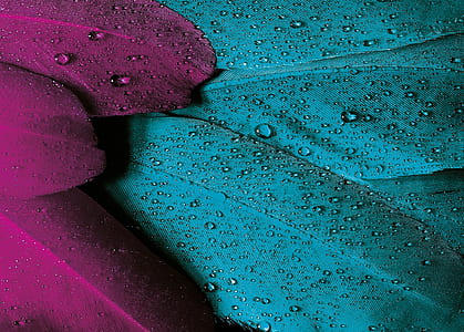 macro photography of blue and purple leaves with water drops thumbnail