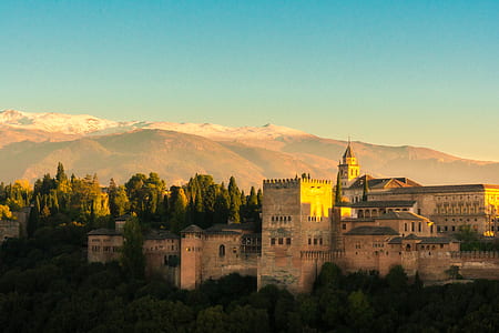 aerial photography of buildings at daytime thumbnail