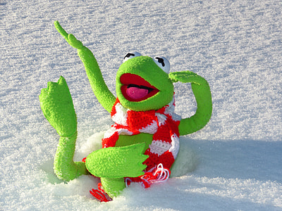 Kermit the Frog lying on snow thumbnail