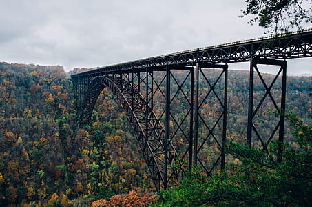 grey bridge over trees thumbnail
