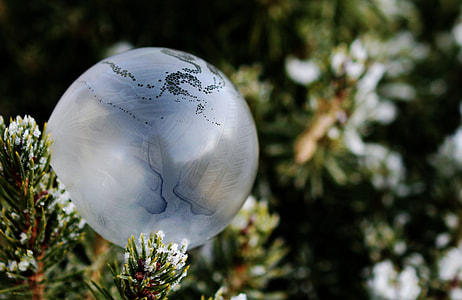 white and gray ornament on a pine tree thumbnail