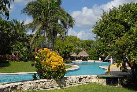 swimming pool surrounded with trees and cottage thumbnail