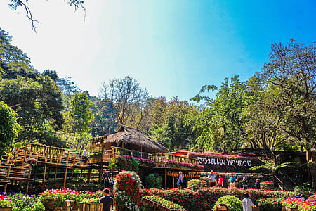 Scenic View of the Trees thumbnail