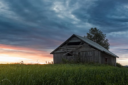 brown shed near field thumbnail