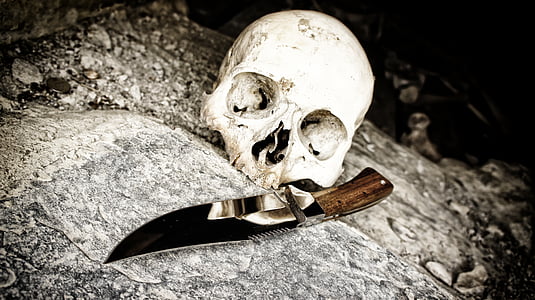 white skull and brown dagger knife on gray concrete surface thumbnail