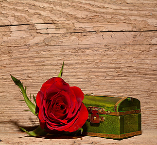 red rose beside green treasure chest thumbnail