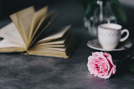 Lovely roseses, book and coffee thumbnail